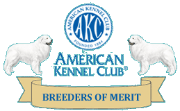 AKC Breeder of Merit