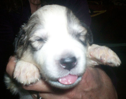 Duncan on Day 14