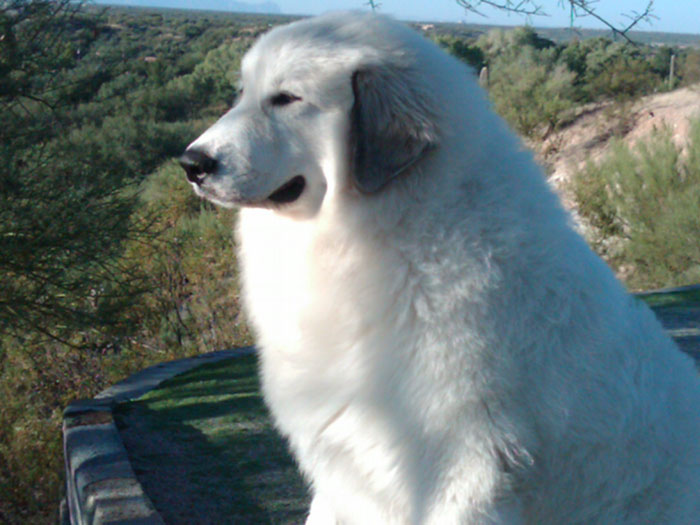 Duncan at 8 Months