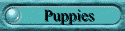 Puppies